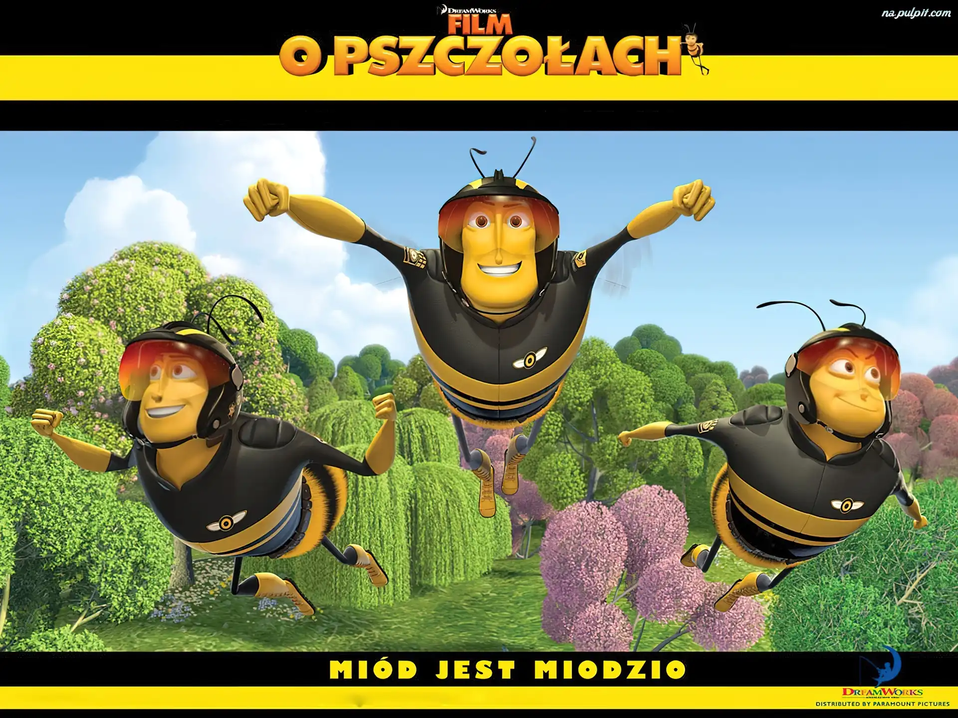 Miodzio, Miód, Film o Pszczołach, Jest